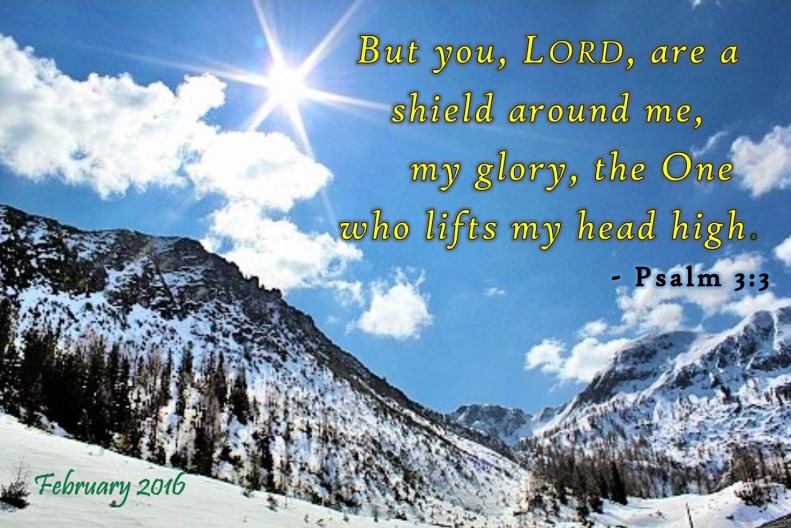 But you, Lord, are a shield around me, my glory, the One who lifts my head high. - Psalm 3:3
